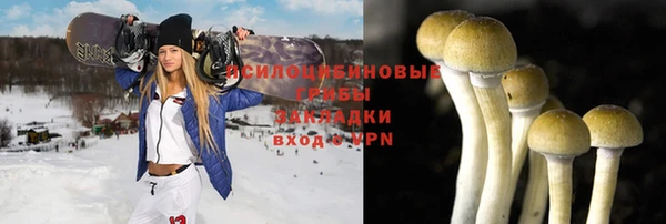 не бодяженный Алзамай